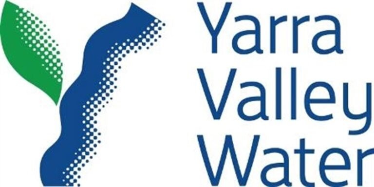 yvw logo 5
